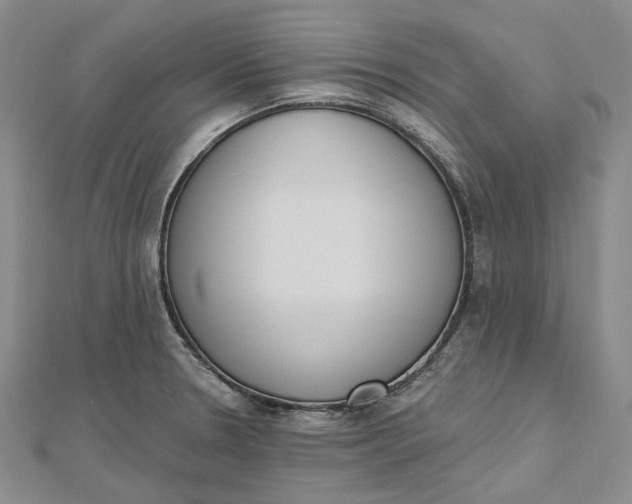 X0000112501330200908311444