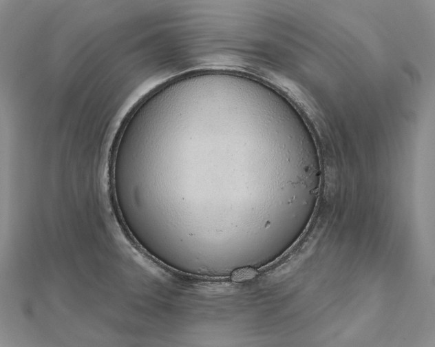 X0000112501331200908311444