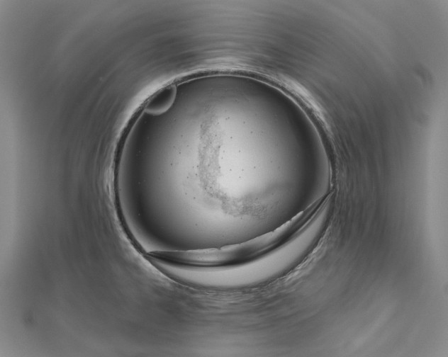 X0000112501334200908311444