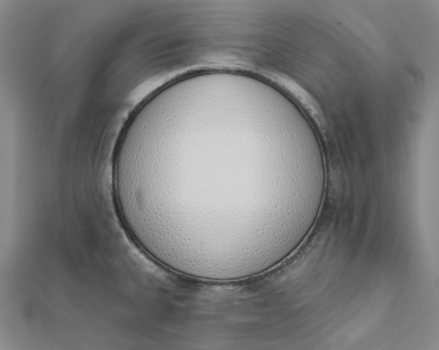 X0000112501335200908311444