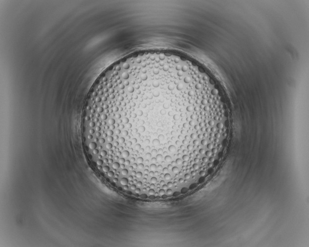 X0000112501337200908311444