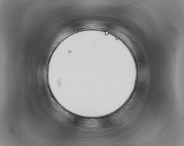 X0000112501338200908311444