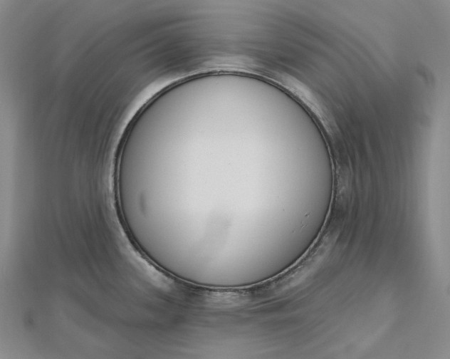 X0000112501339200908311444