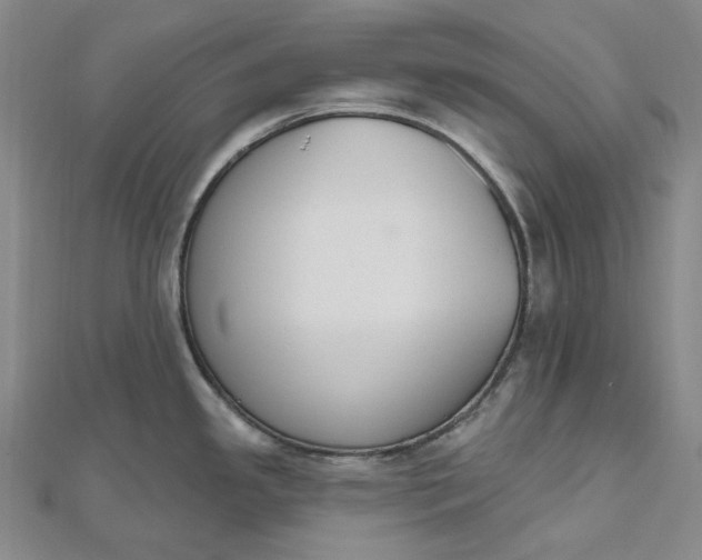 X0000112501341200908311444