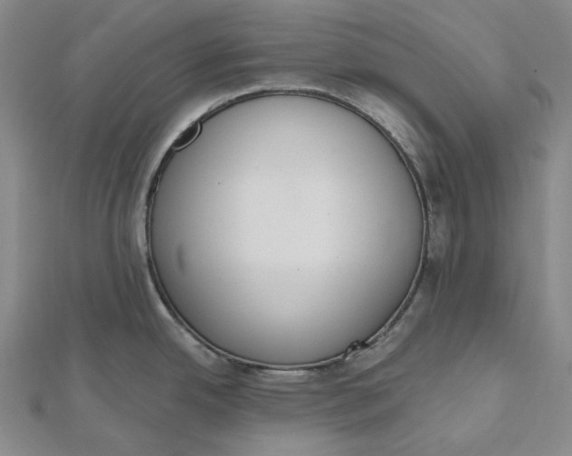 X0000112501342200908311444