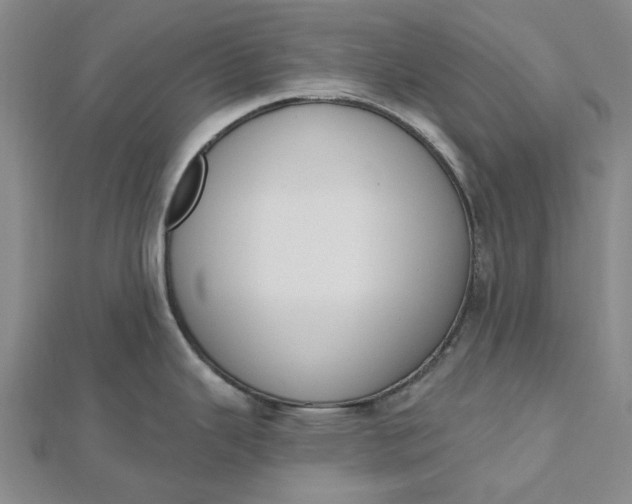 X0000112501343200908311444