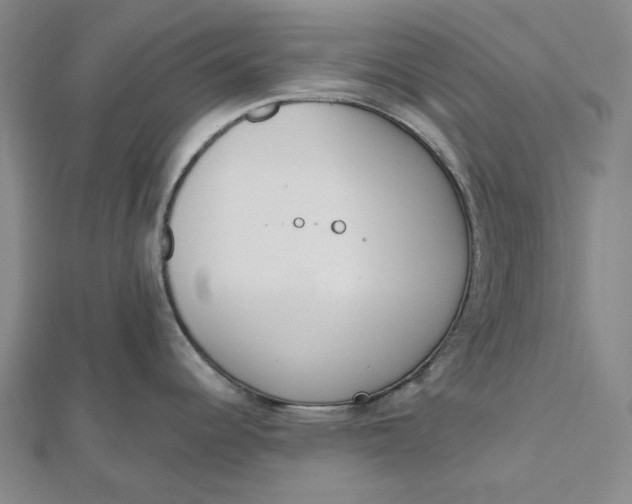 X0000112501344200908311444