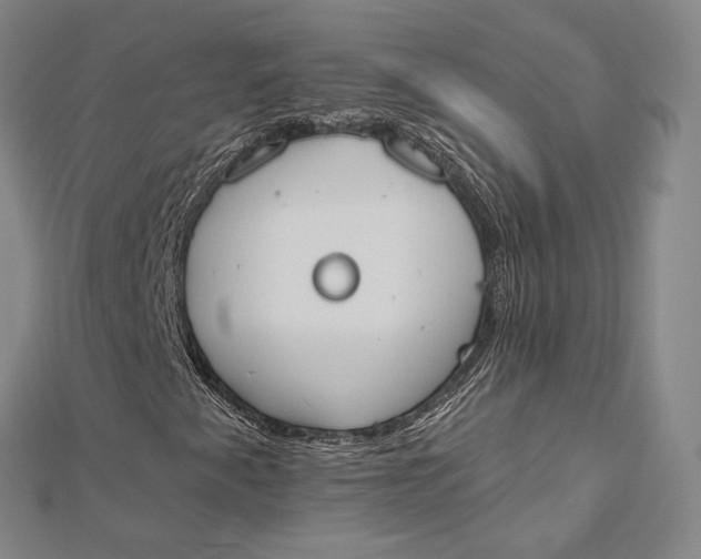 X0000112501345200908311444