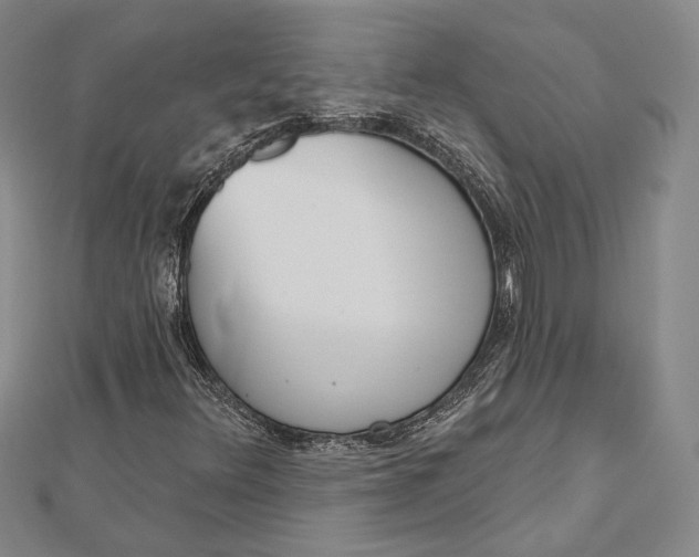 X0000112501348200908311444