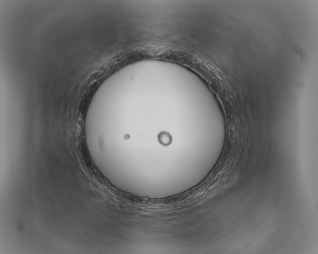 X0000112501349200908311444