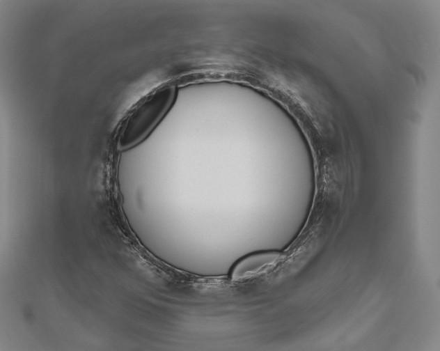 X0000112501352200908311444