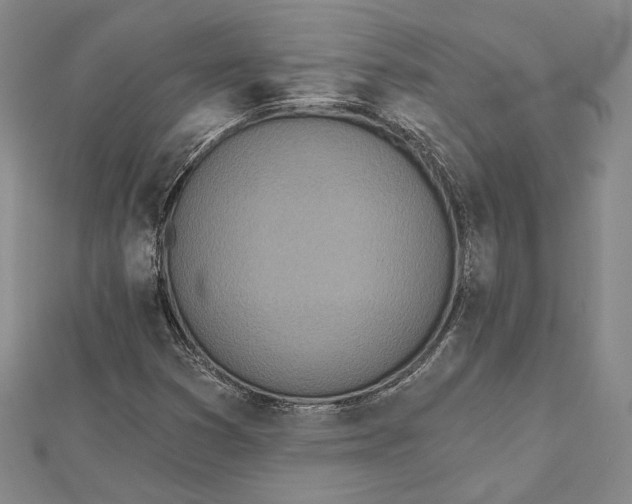 X0000112501353200908311444