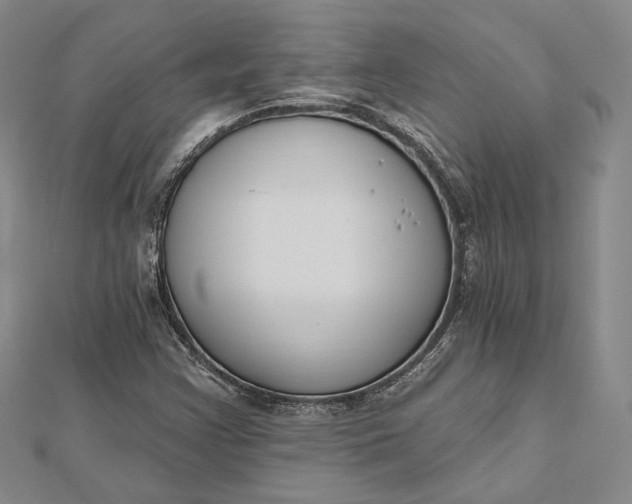 X0000112501355200908311443