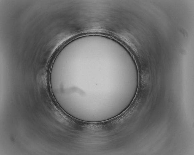 X0000112501356200908311443