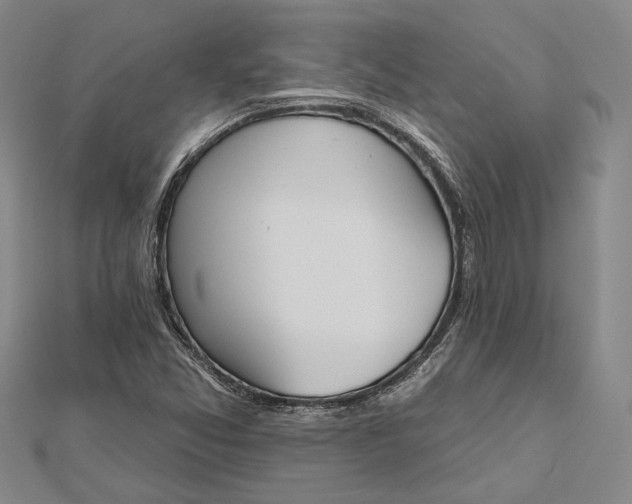 X0000112501357200908311443