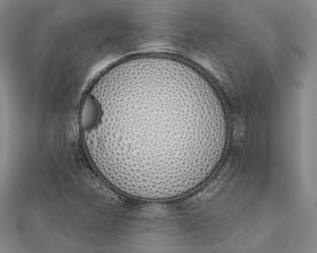 X0000112501358200908311443