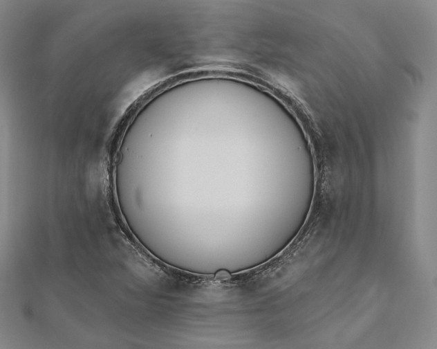 X0000112501360200908311443