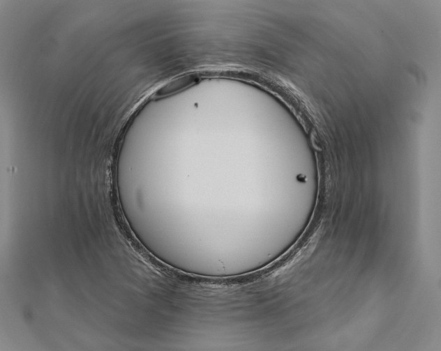 X0000112501361200908311443