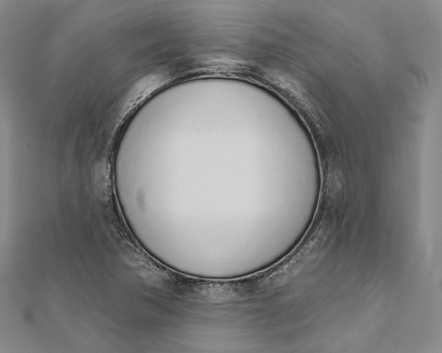 X0000112501362200908311443