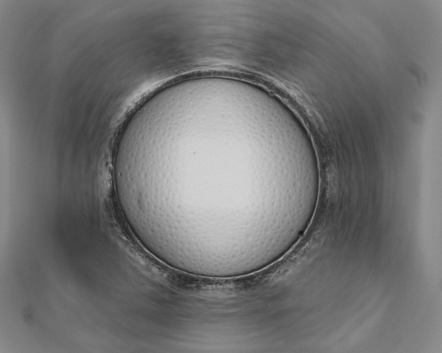 X0000112501363200908311443