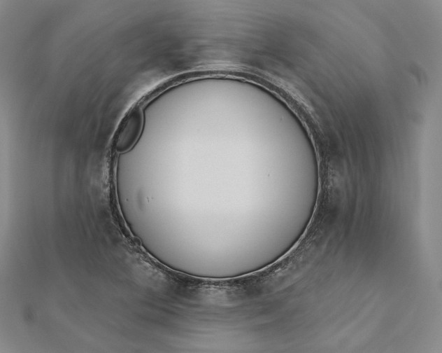 X0000112501364200908311443