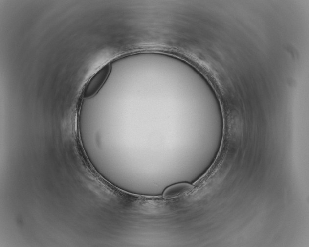 X0000112501365200908311443