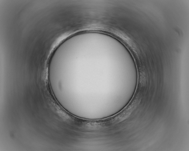 X0000112501366200908311443