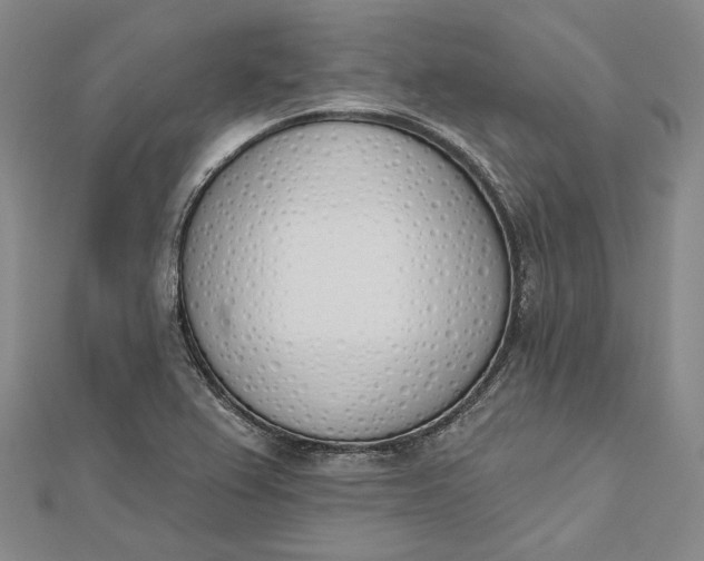 X0000112501367200908311443