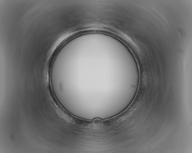 X0000112501368200908311443