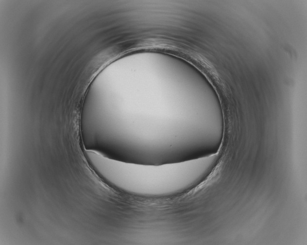 X0000112501369200908311443