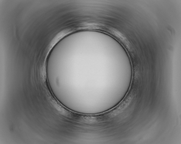 X0000112501370200908311443