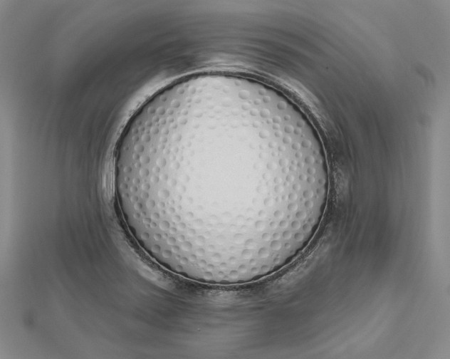 X0000112501371200908311443