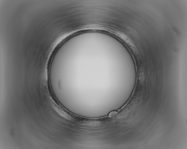 X0000112501372200908311443