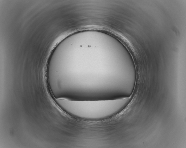 X0000112501373200908311443