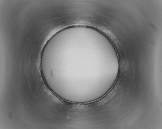 X0000112501374200908311443