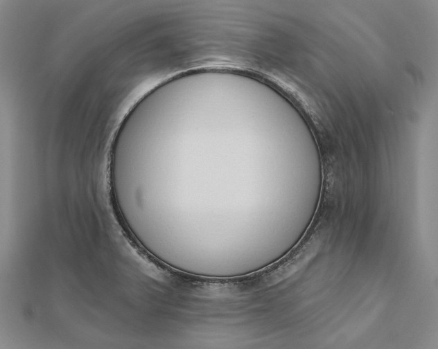 X0000112501375200908311443