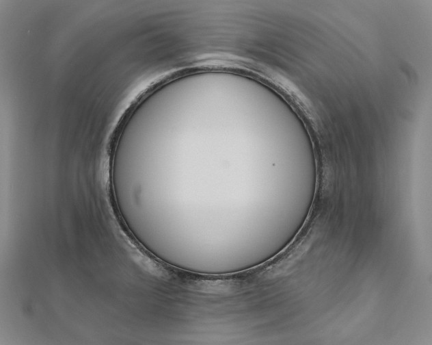 X0000112501376200908311443