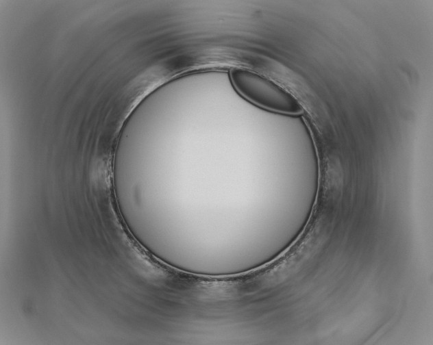 X0000112501377200908311443