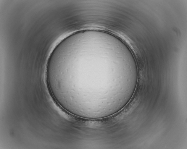 X0000112501379200908311443