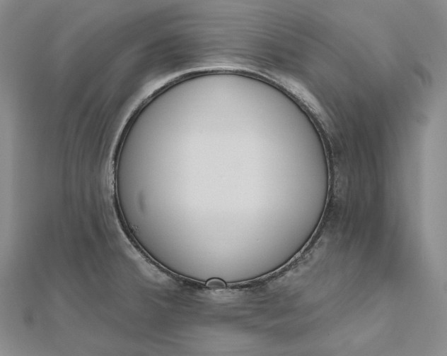 X0000112501380200908311443