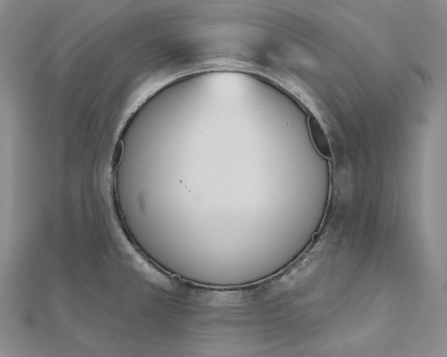 X0000112501381200908311443