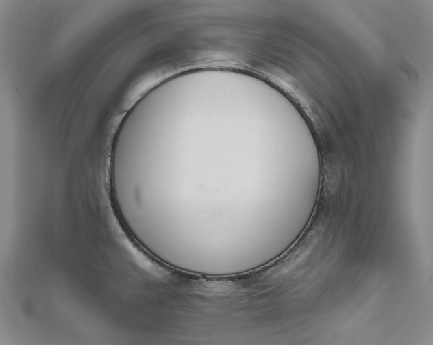 X0000112501383200908311443