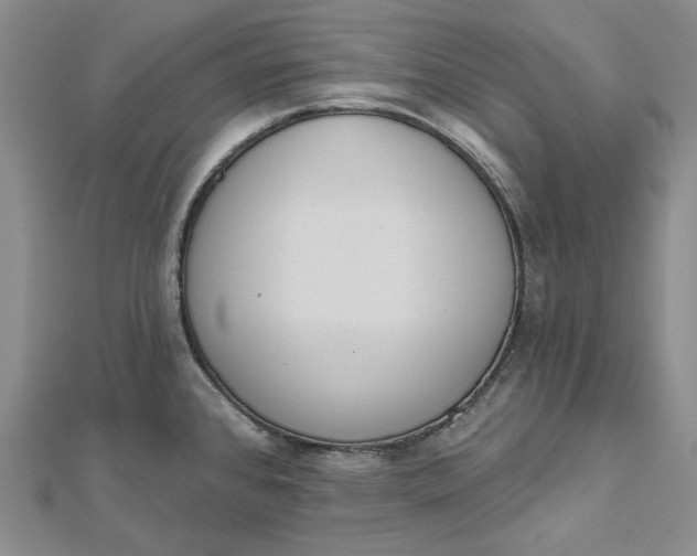 X0000112501384200908311443