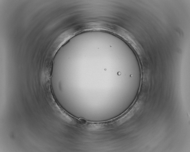 X0000112501385200908311443