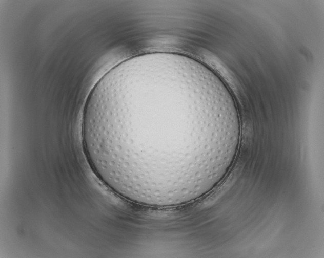 X0000112501386200908311443