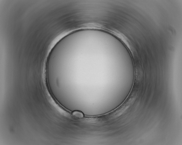 X0000112501387200908311443