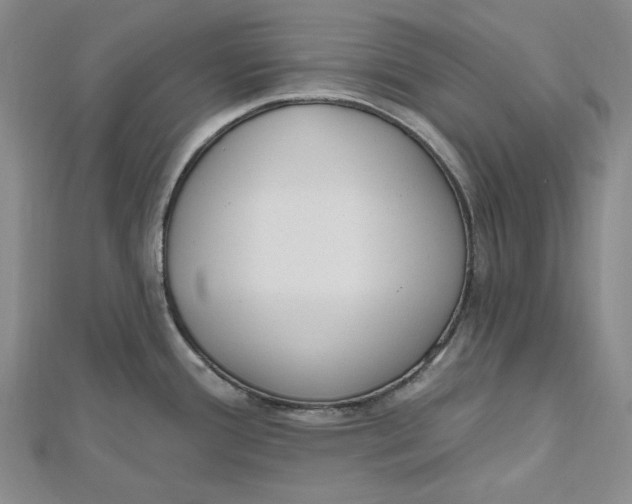 X0000112501388200908311443