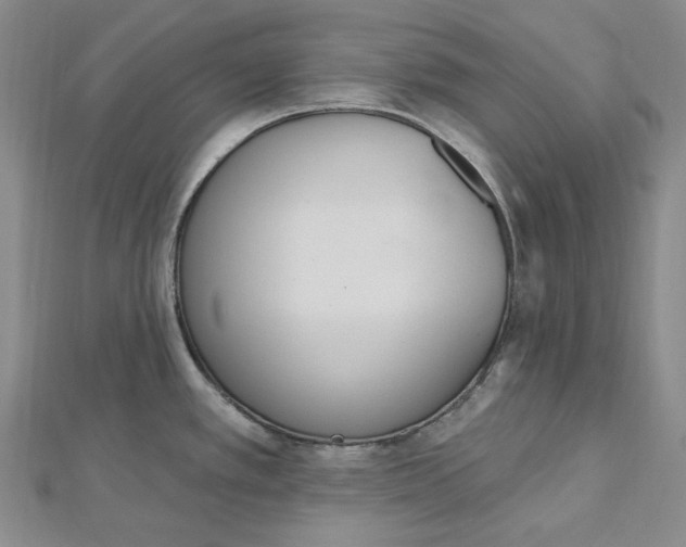 X0000112501389200908311443