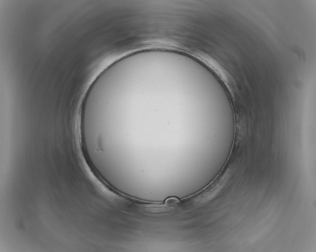 X0000112501391200908311443