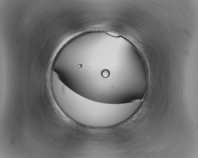 X0000112501392200908311443